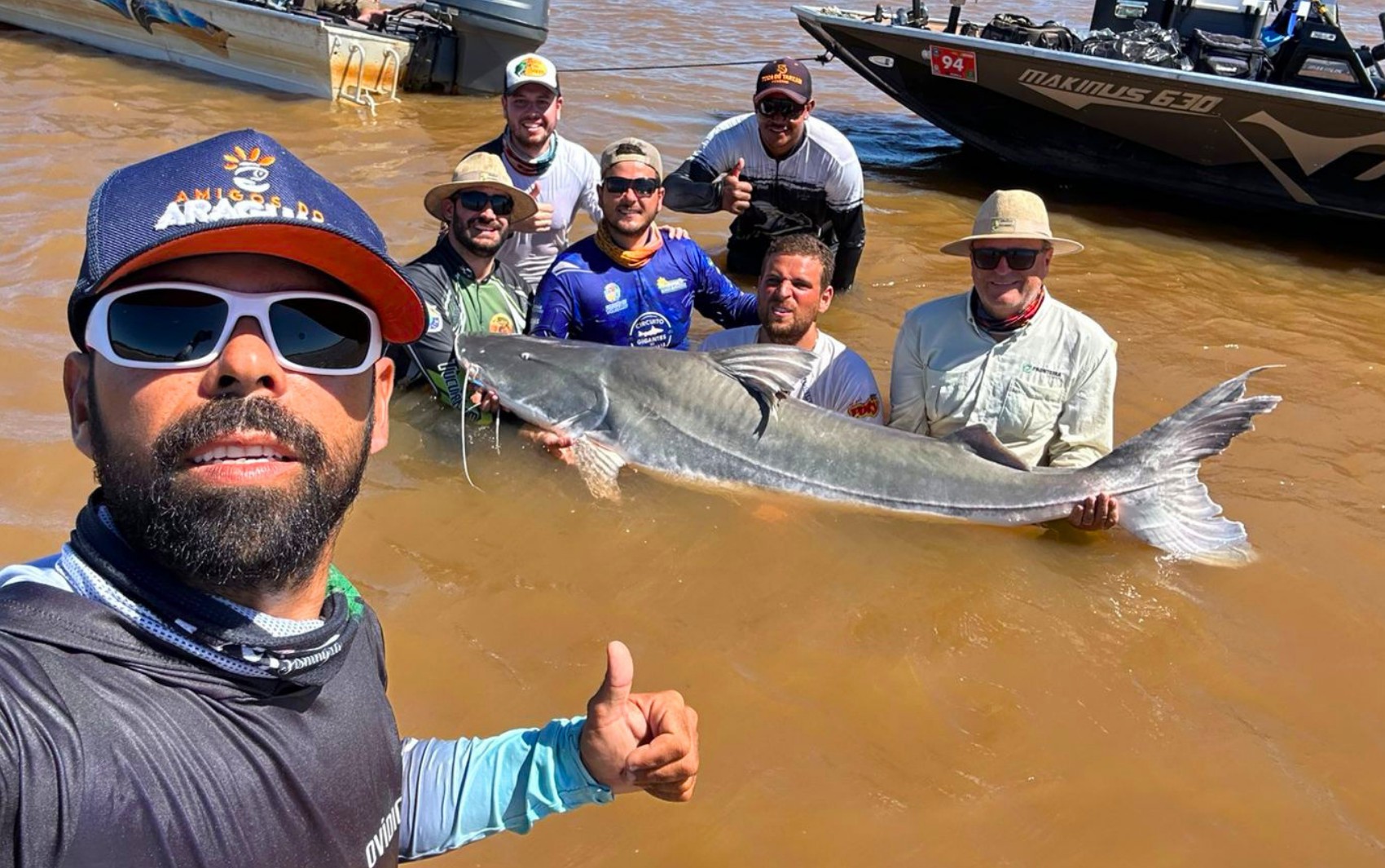 Peixes gigantes que não podem ser consumidos: pescador fisga piraíba de 2,5 metros no Rio Araguaia 