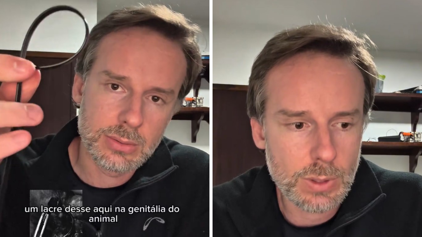 Cão comunitário tem genitália mutilada com lacre em SC e biólogo desabafa: ‘humanidade está doente’