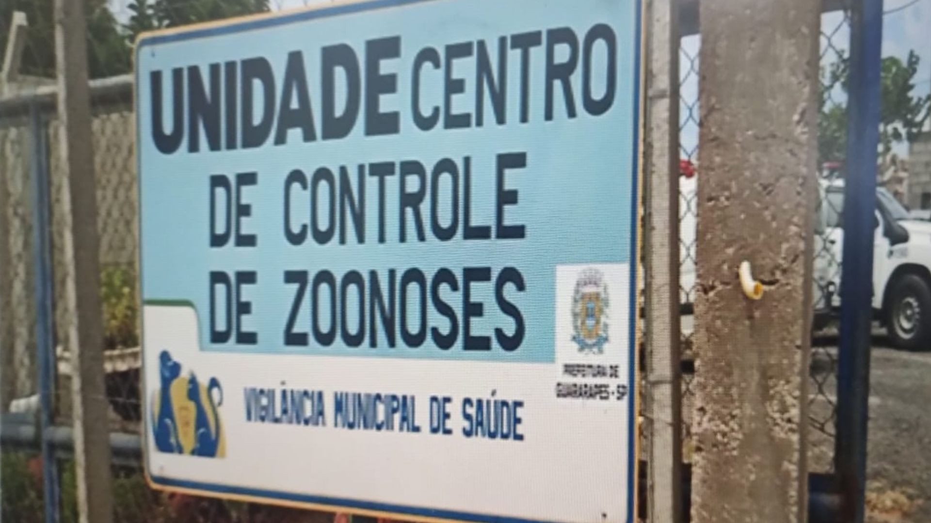 Mulher suspeita de causar morte de 5 cães é multada em R$ 38 mil por maus-tratos e por manter animais silvestres em cativeiro 