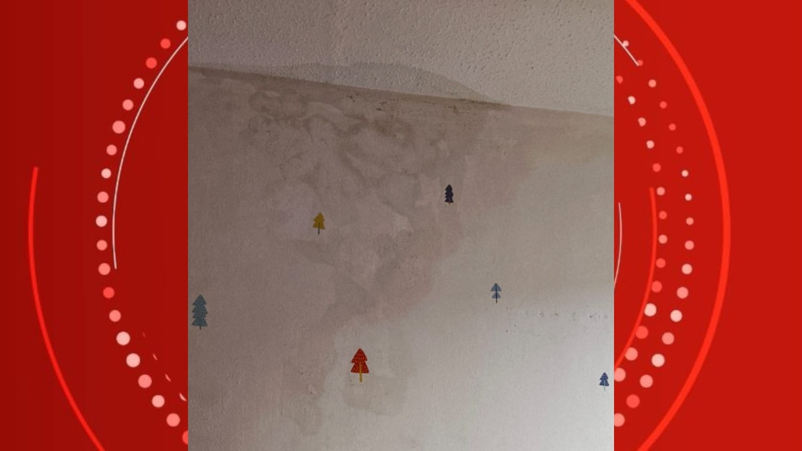 Infiltrações em apartamentos: especialista em direito condominial explica de quem é a responsabilidade do reparos