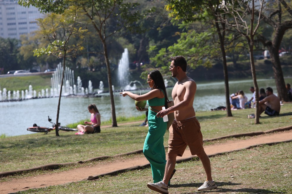 Paulistanos aproveitam dia de calor no Parque Ibirapuera, na Sona Sul de São Paulo, neste domingo (18) — Foto: Renato S. Cerqueira/Ato Press/Estadão Conteúdo