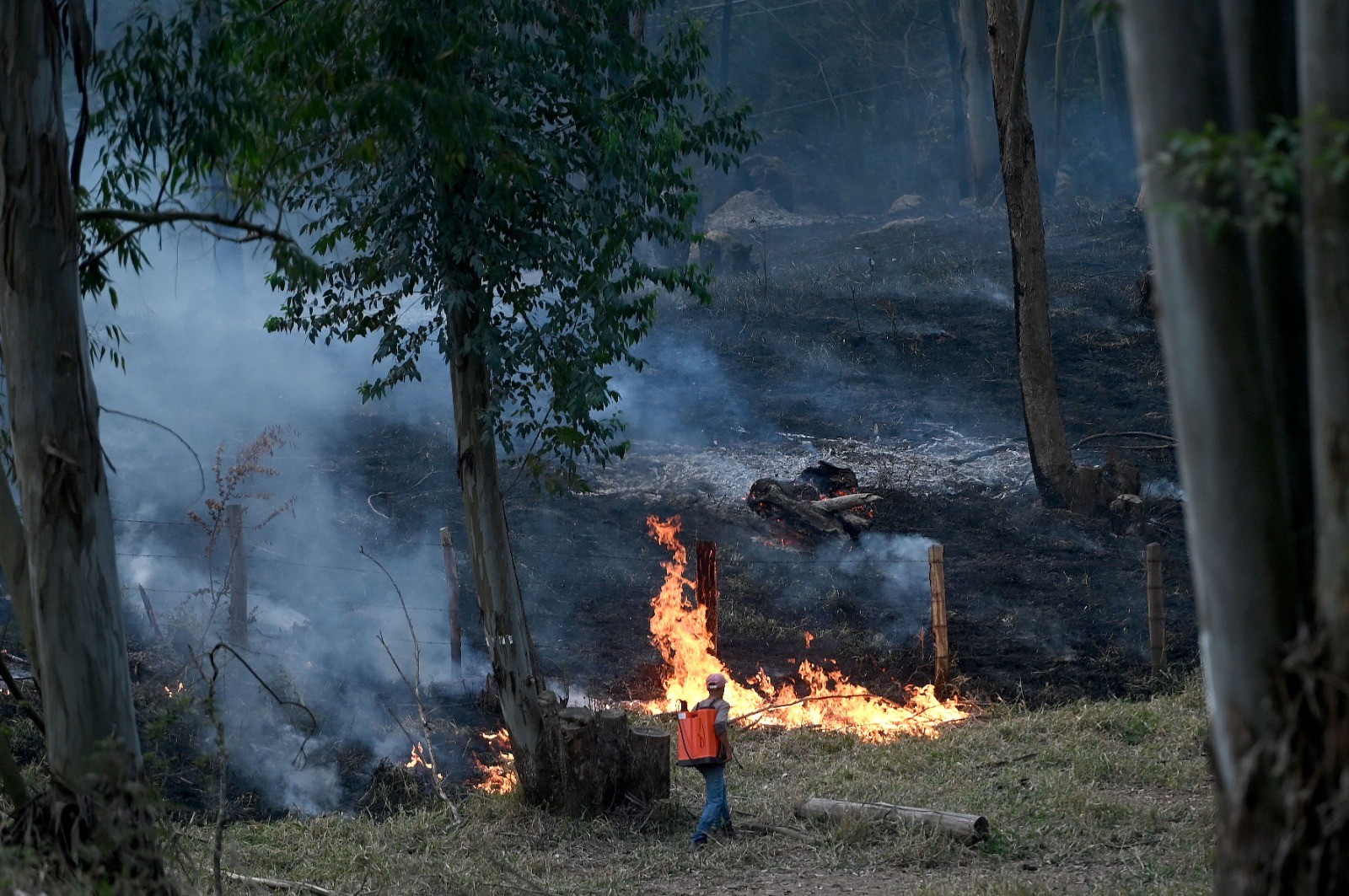 Máxima de 34ºC: com previsão de calor intenso e tempo seco, Campinas alerta para alto risco de incêndios