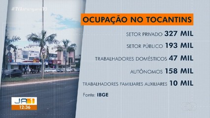 Percentual de pessoas desocupadas cai para 5,3% no Tocantins, aponta IBGE