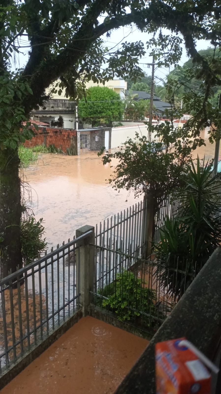 Rio Sesmaria transborda e causa alagamentos durante chuva em Resende; moradores precisaram sair de casa