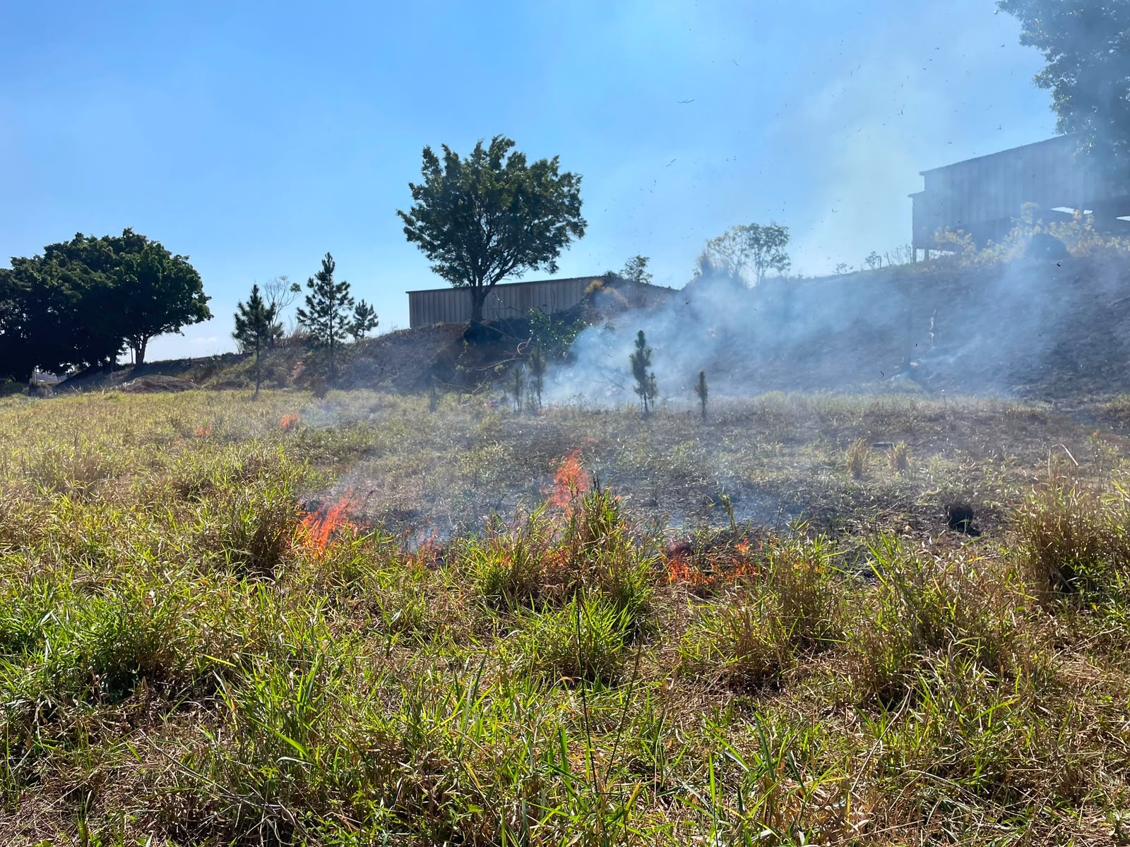 Fogo em vegetação atinge fábrica desativada em Itaquaquecetuba