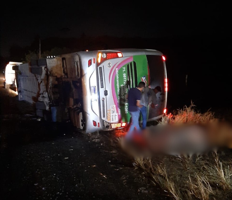 Ônibus tombou na BR-110, na zona rural do município de Catu — Foto: Redes sociais