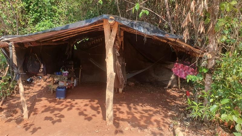 Grupo em trabalho análogo à escravidão é resgatado de fazenda isolada em MT
