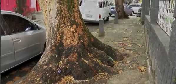 Prefeitura registra 37 mil reclamações sobre calçadas do Rio em 2 anos