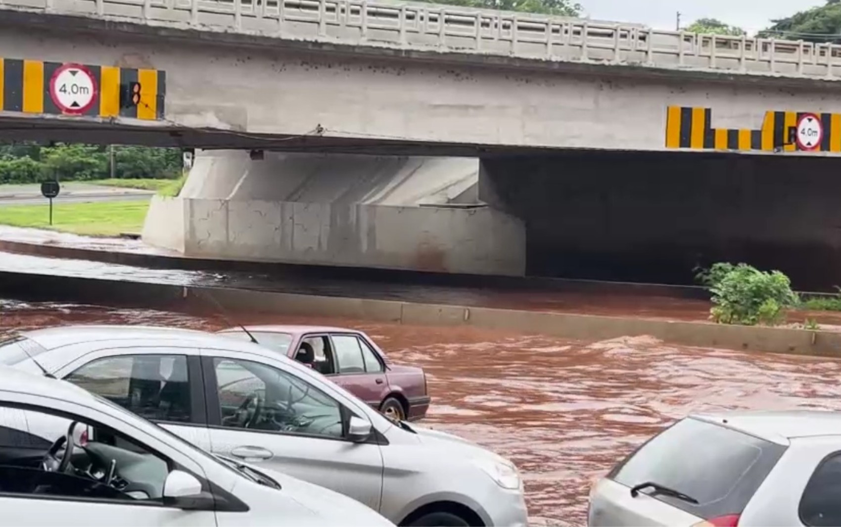 Em menos de uma hora, Ribeirão Preto registra alagamentos e queda de árvores por conta da chuvaon janeiro 28, 2025 at 2:04 pm