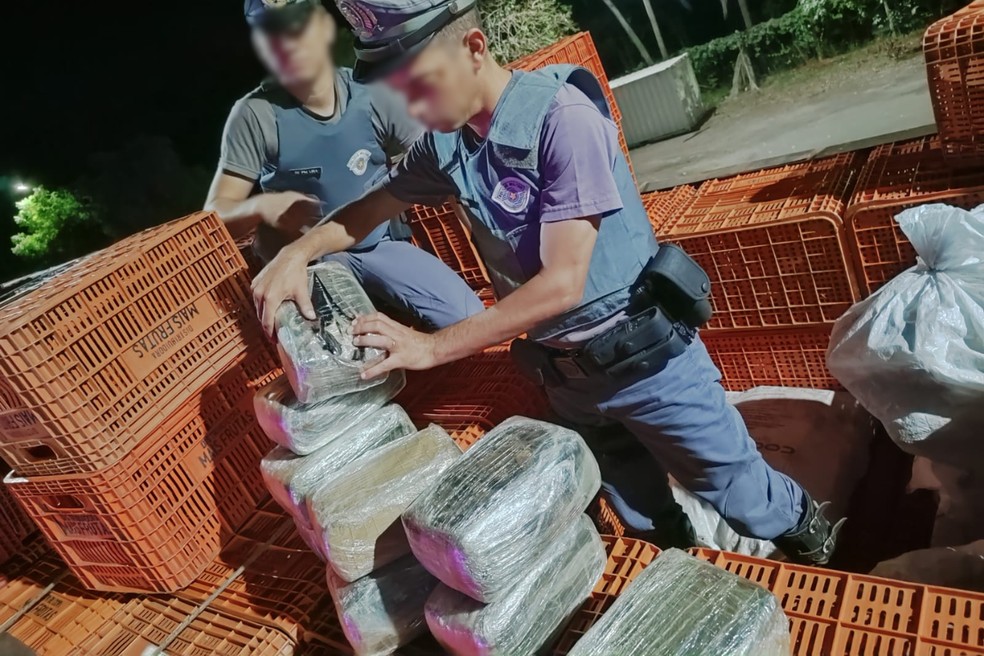 Fardos de maconha estavam escondidos em meio a caixas de transporte de frutas — Foto: Polícia Rodoviária/Divulgação