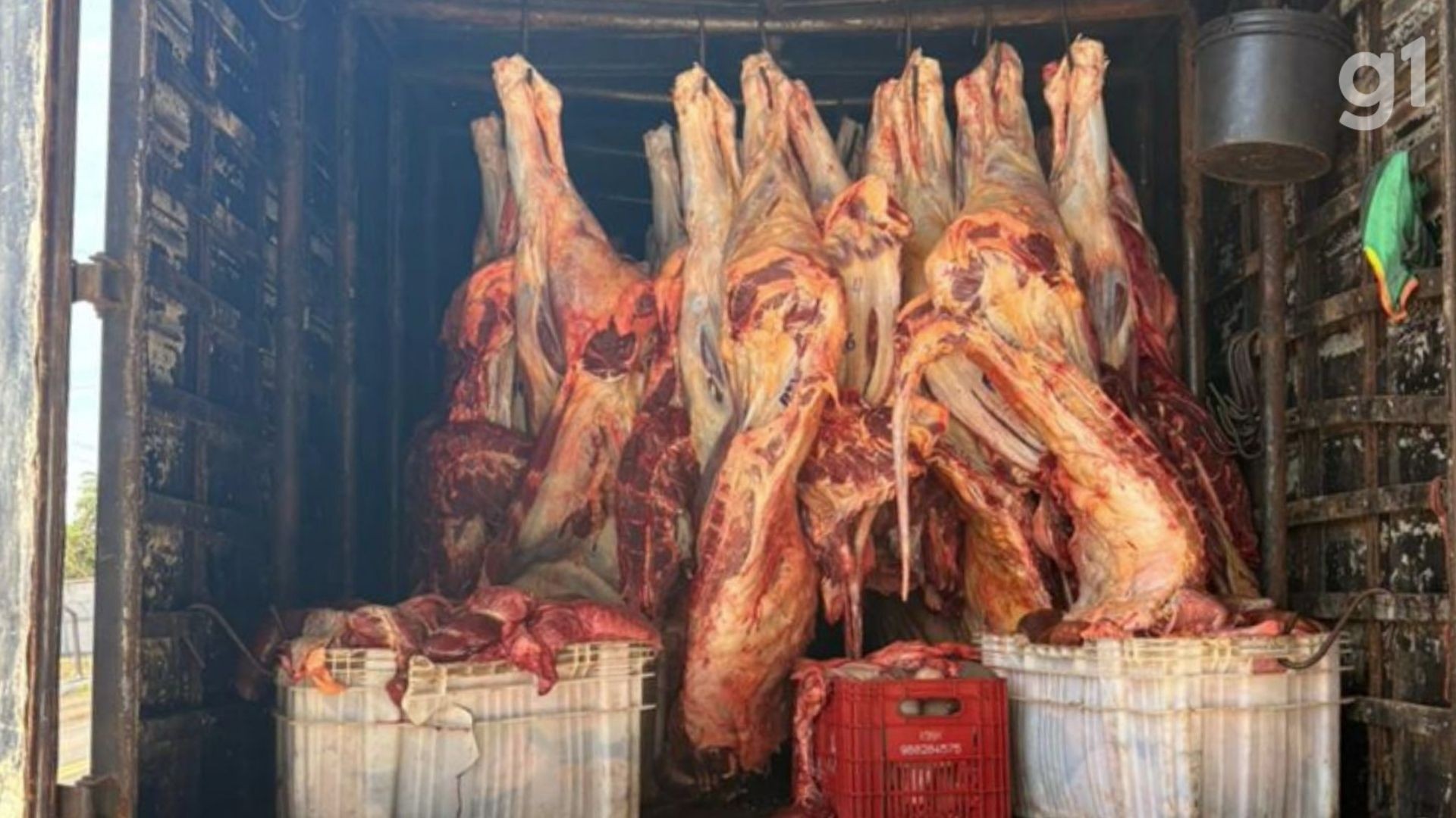 PRF apreende 5,7 toneladas de carne transportadas de forma irregular em Balsas no MA 