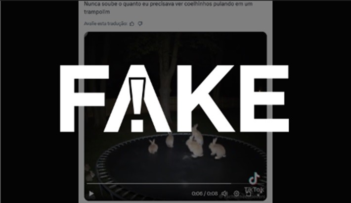 É #FAKE vídeo que mostra coelhinhos pulando em cama elástica; cena foi  gerada com inteligência artificial