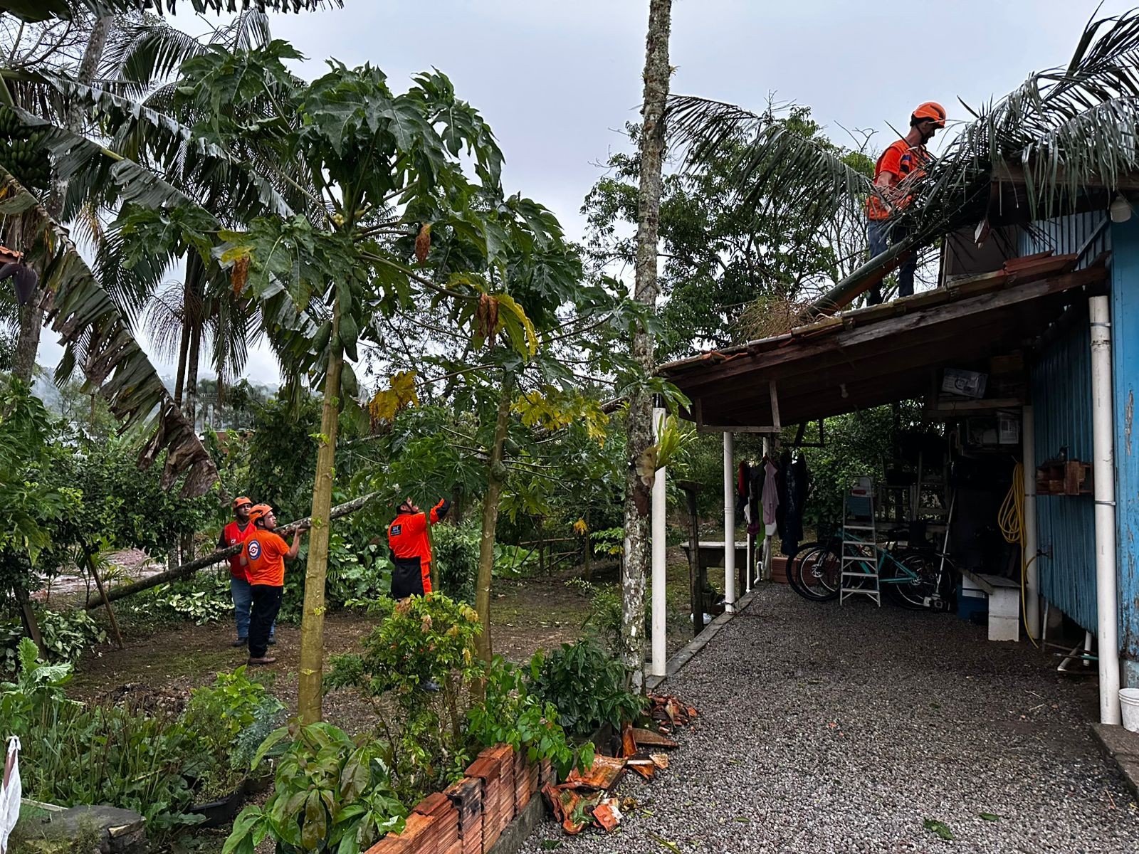 Microexplosão atinge cidade na Grande Florianópolis e causa quedas de árvores e destelhamentos; FOTOS