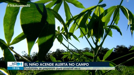 Chegada do El Niño acende alerta no campo