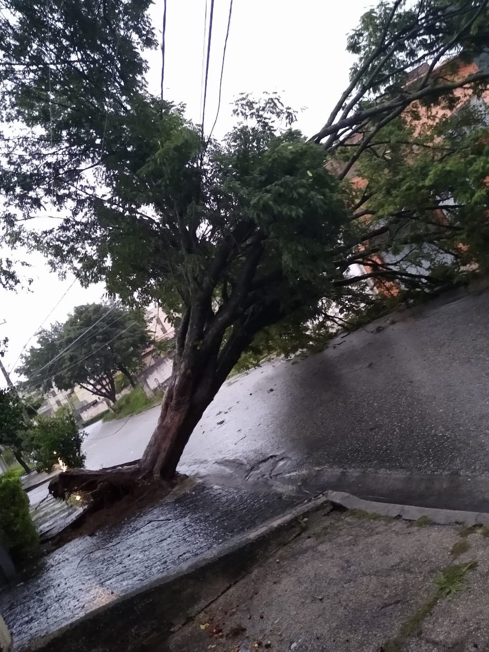 Garoa ameniza tempo seco depois de 54 dias sem chuva - 11/09/12 - SOROCABA  E REGIÃO - Jornal Cruzeiro do Sul