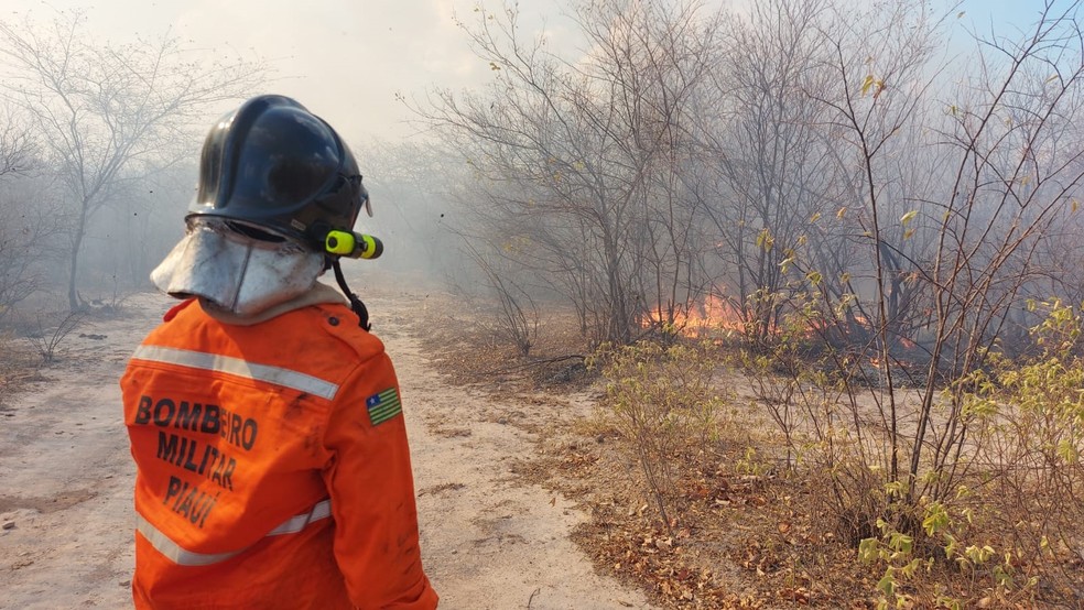 Banca divulga gabarito de prova do concurso do Corpo de Bombeiros do Piauí  — Foto: Divulgação/Corpo de Bombeiros