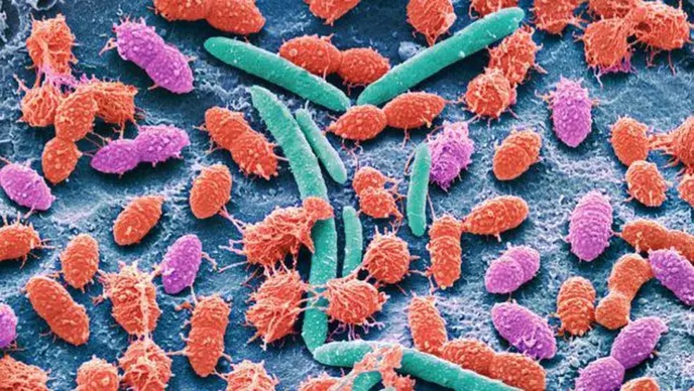 A encefalopatia hepática é problema que surge no fígado, tem efeitos no cérebro e cuja solução depende de controlar as bactérias no intestino. — Foto: GETTY IMAGES via BBC