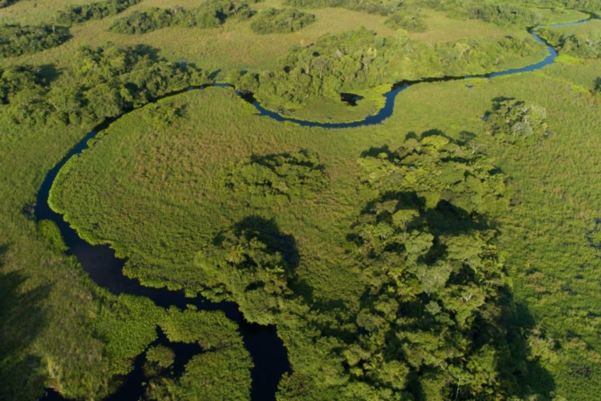 O rio cristalino que conecta 4 biomas da América do Sul e pode ganhar proteção federal