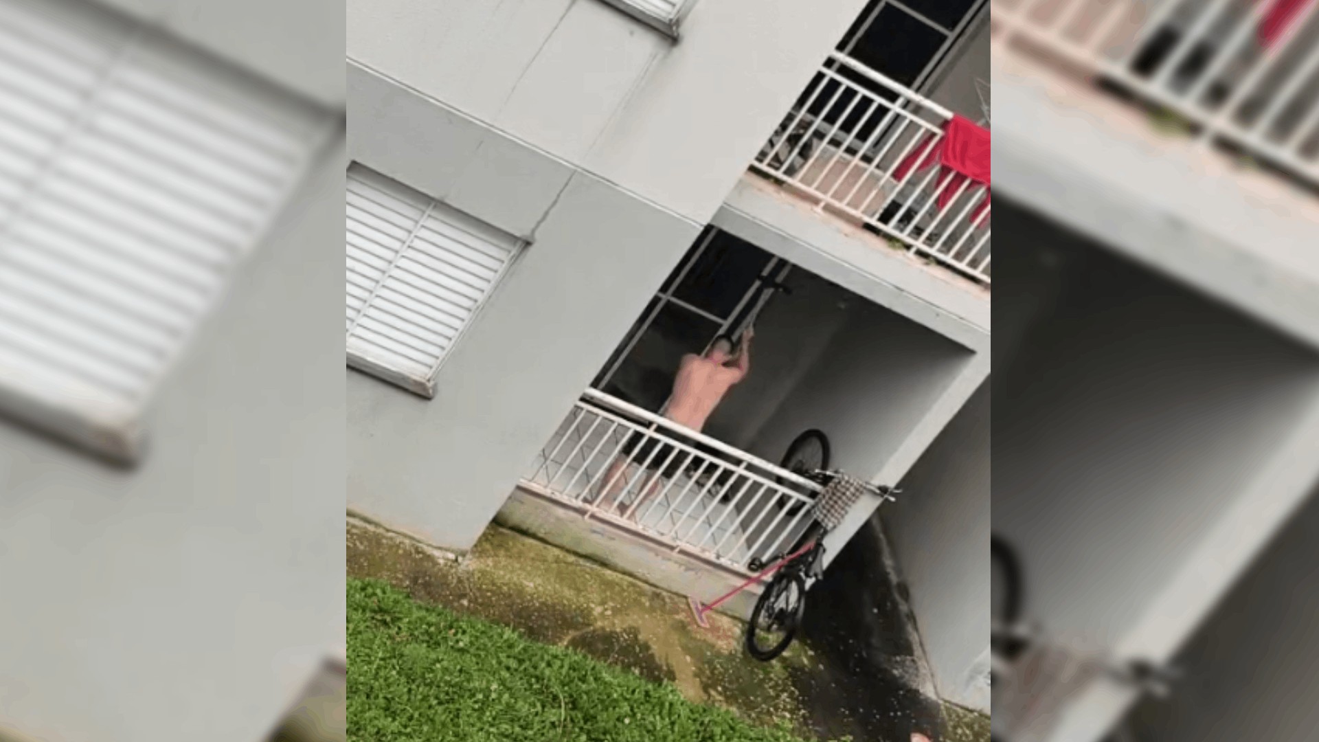 Homem é preso suspeito de agredir cadela com cabo de vassoura em Botucatu; VÍDEO