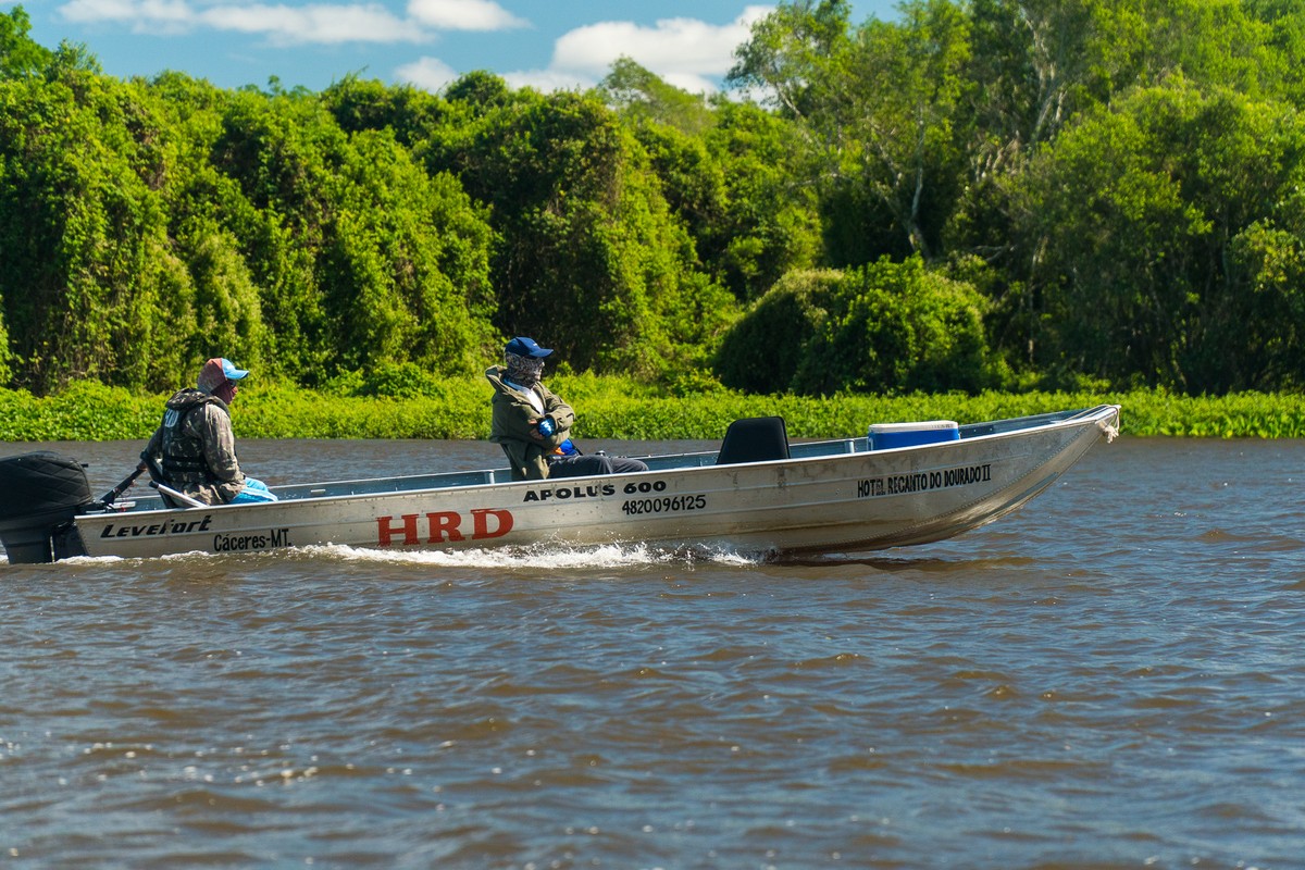 Rio Paraguai tem nível mais baixo registrado para época do ano e tendência é de seca severa no Pantanal de MT, diz estudo | Mato Grosso