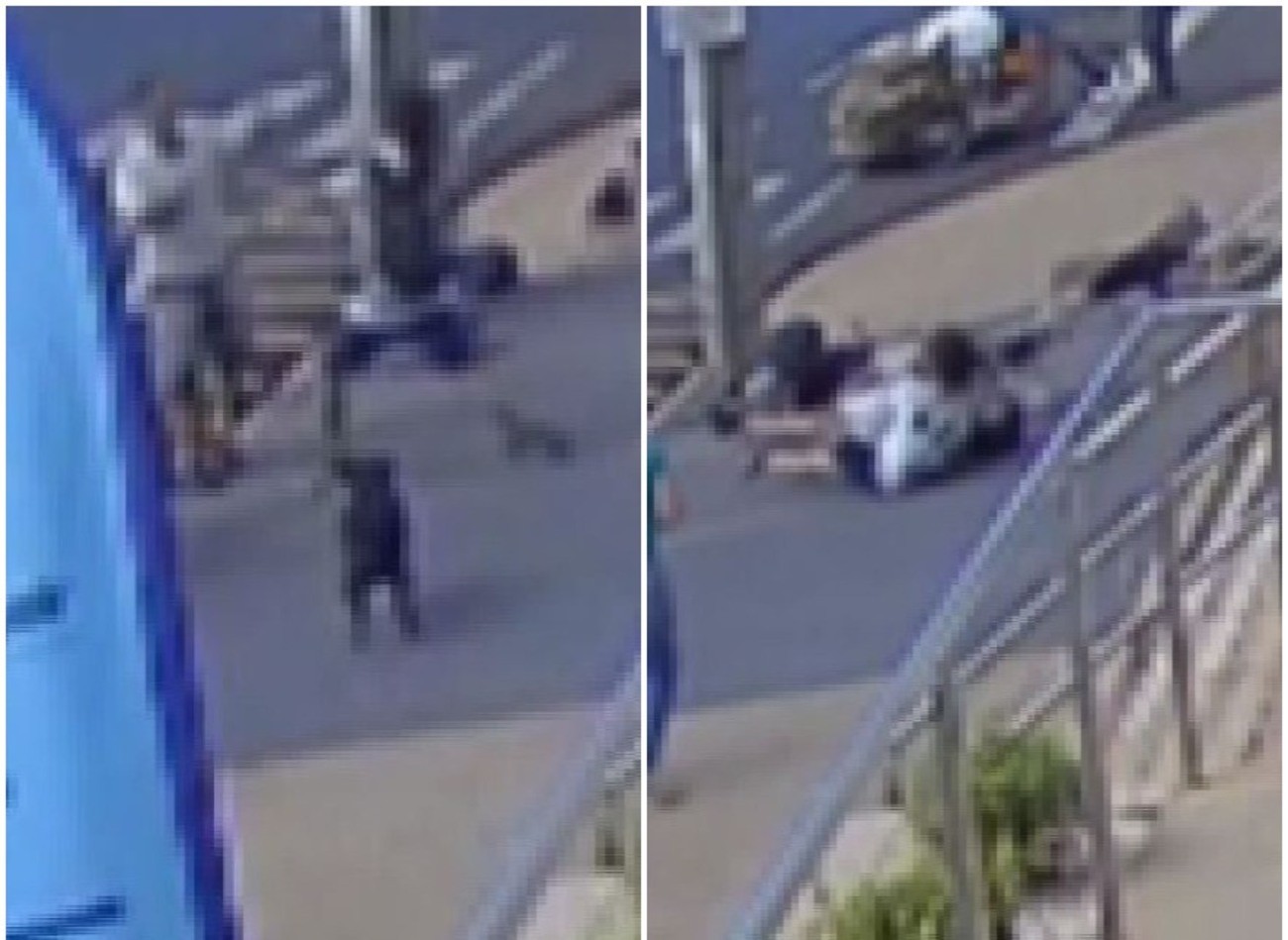 VÍDEO: idoso de 75 anos é agredido com 'mata-leão' por homem que passeava com cães em SP