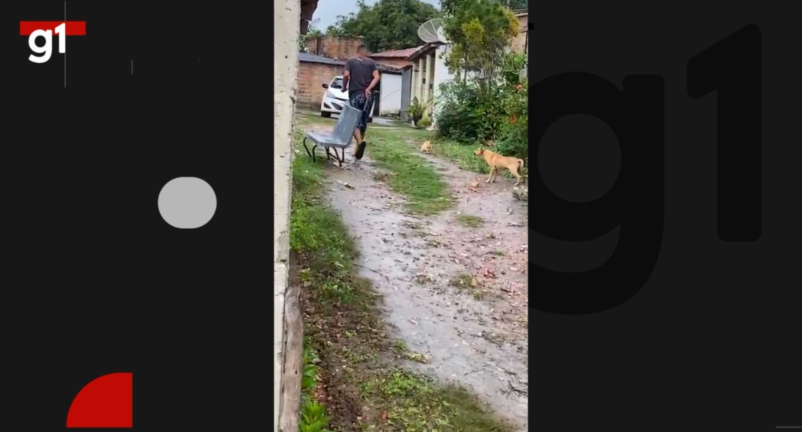VÍDEO: Homem é investigado por matar gato a pauladas no interior da Bahia
