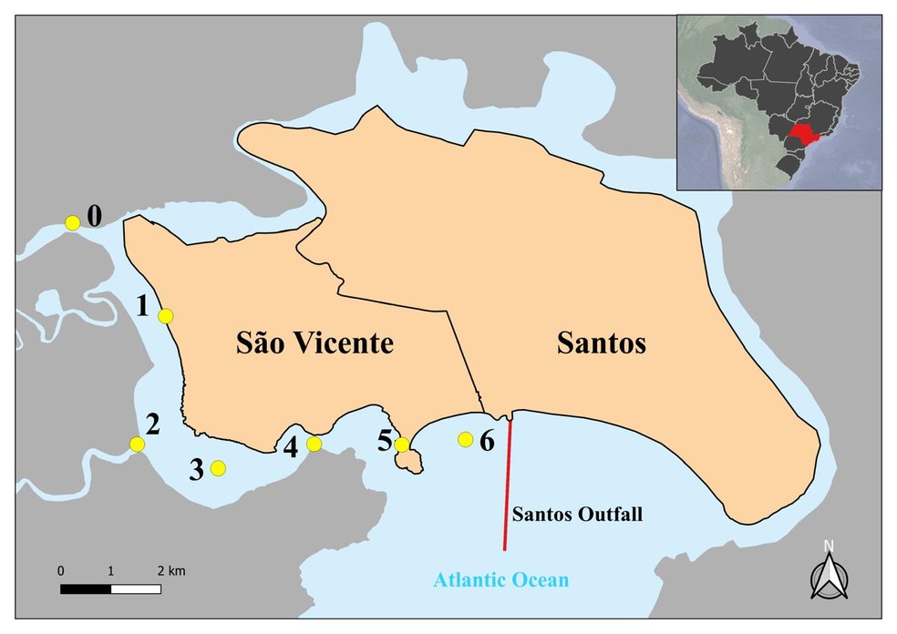 Mapa mostra os pontos estudados na baía de São Vicente, no litoral de SP, pelo grupo de pesquisadores — Foto: Arquivo Pessoal