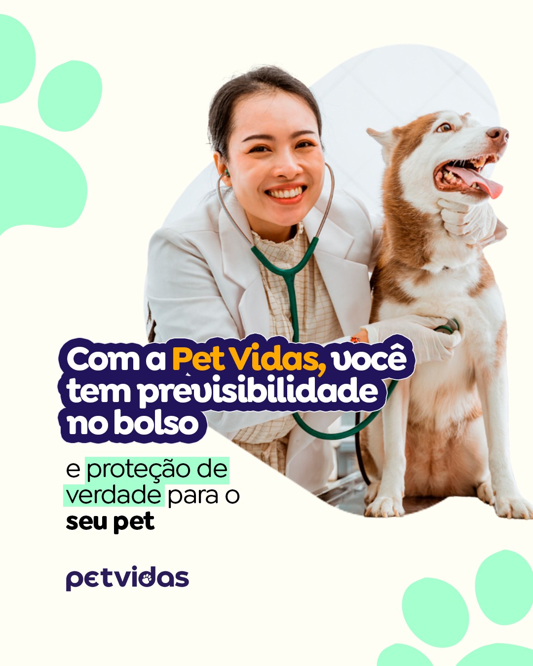 Precisamos falar sobre planos de saúde para pets na região