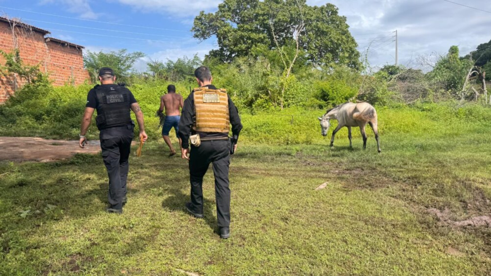 Dono de cavalo que causou morte de jovem em acidente com moto é alvo de operação no PI