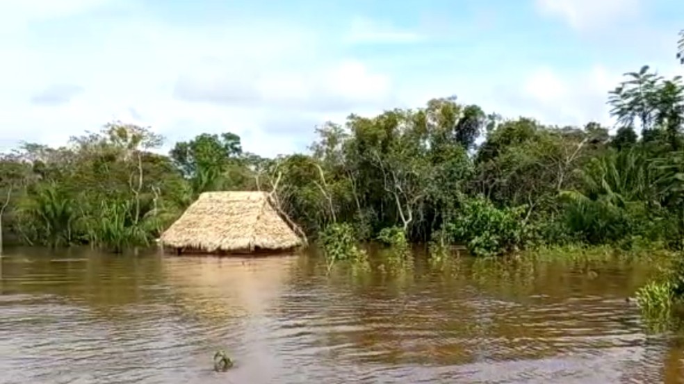 Casas ficam quase submersas por água do rio Pacaás Novos em RO — Foto: Reprodução