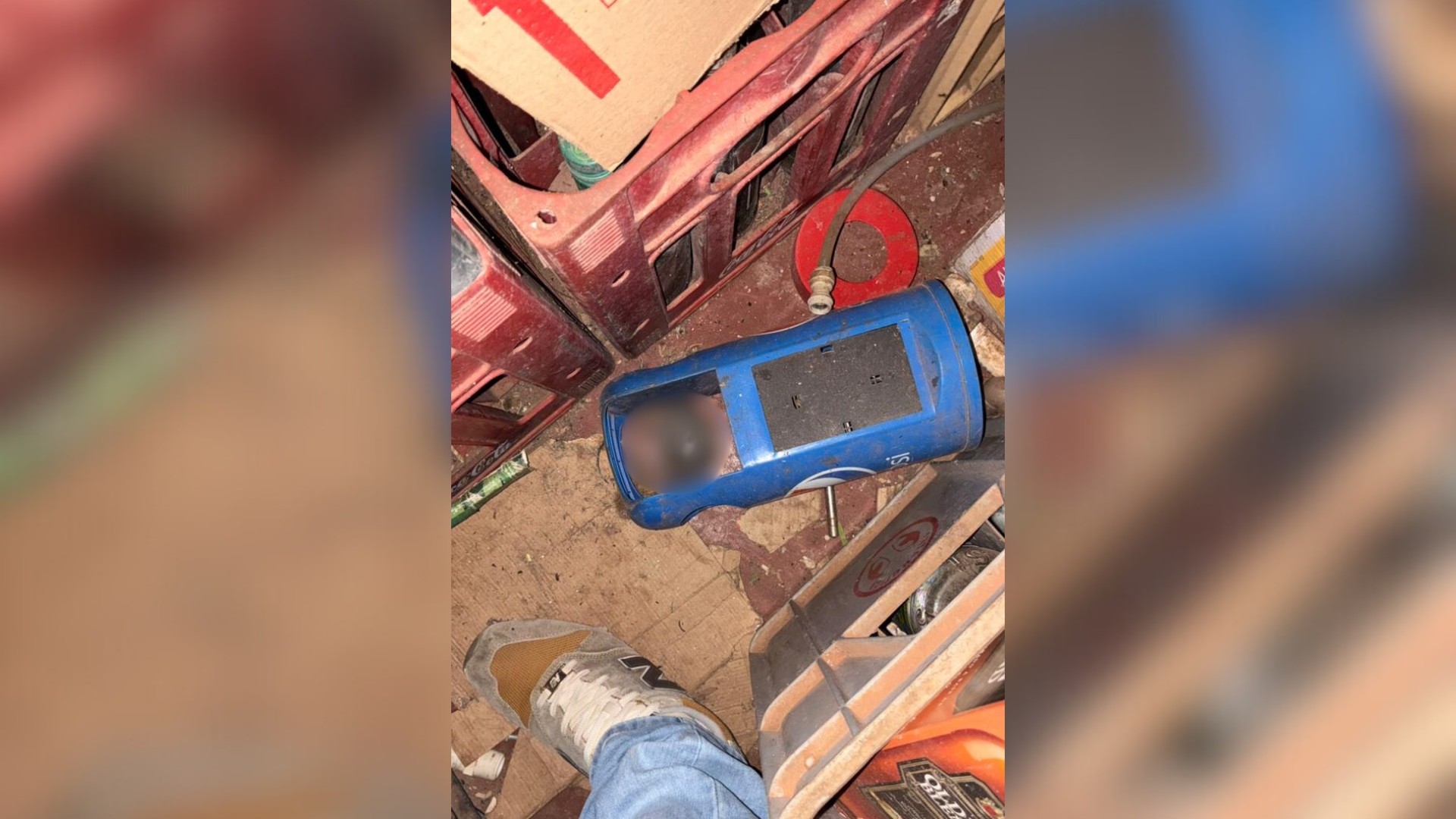 VÍDEO: Com flagrante de bebidas vencidas desde 2019, ratos e condições precárias, bar é interditado em Uberaba