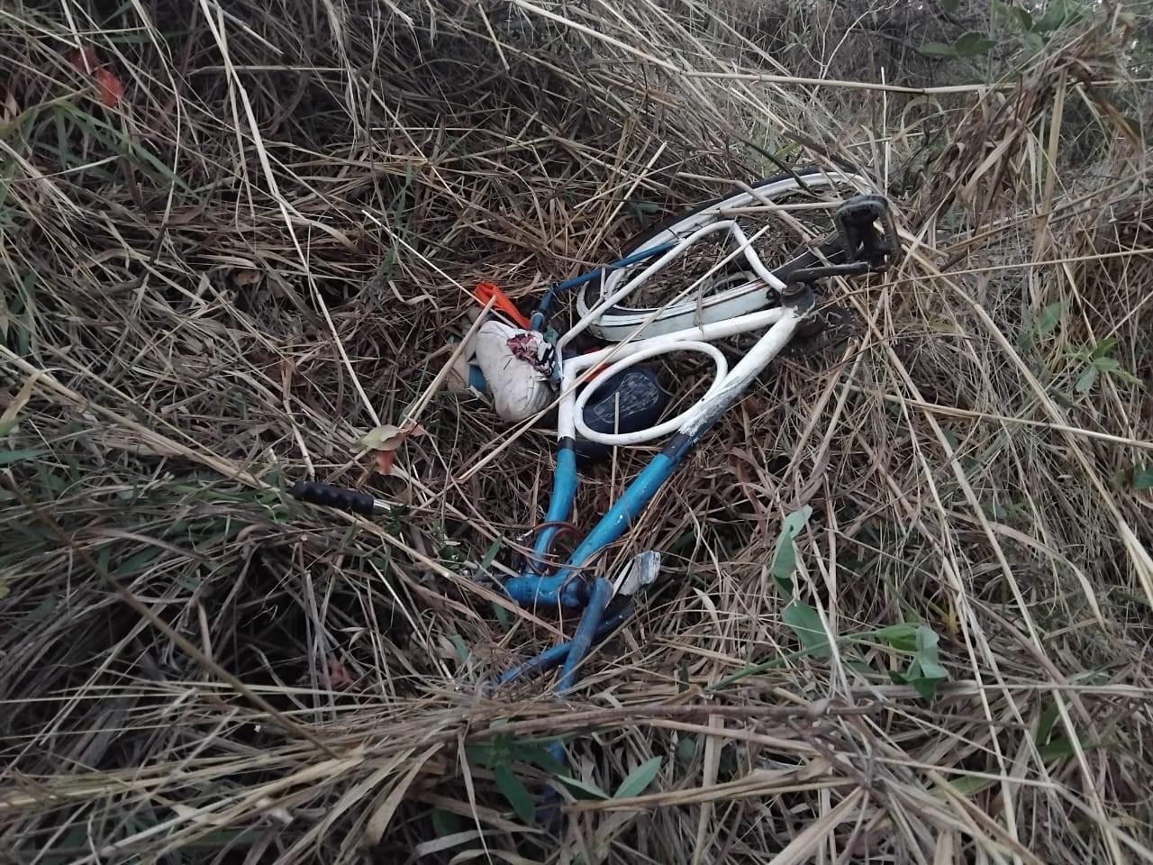 Ciclista é atropelado por carro e morre na BR-262, em Bom Despacho; motorista fugiu sem prestar socorro