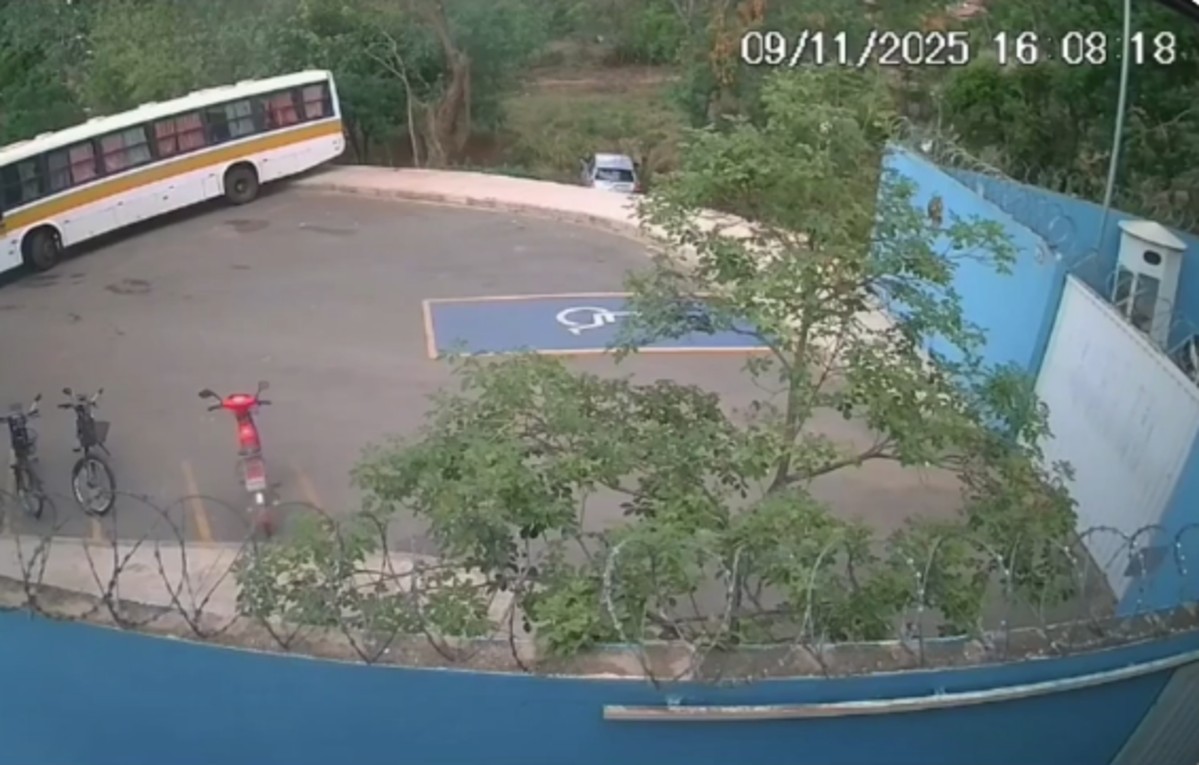 Idosas são atacadas por enxame de abelhas após carro cair em declive e atingir tronco de árvore em MG; VÍDEO