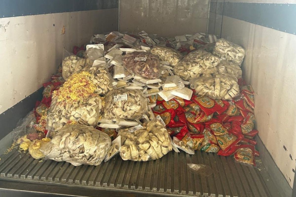 Empresário é preso após polícia encontrar mais de 10 toneladas de queijos e carnes vencidos em MS
