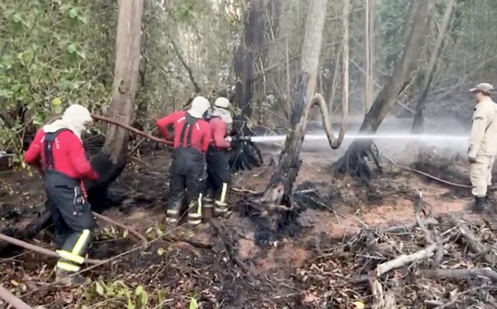 Bombeiros controlam últimos focos de incêndio no Parque do Cocó