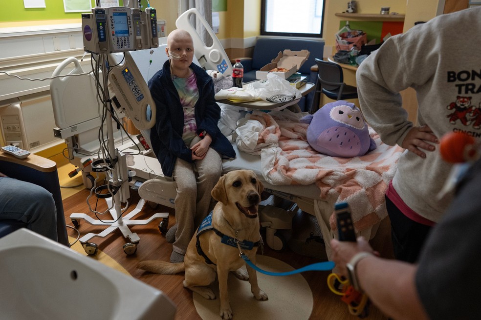 Hadley, o cão de assistência do Hospital Infantil de Cincinnati, está sentado aos pés de Bethany Striggles, de 11 anos, que recentemente terminou um tratamento de quimioterapia para câncer ósseo. — Foto: AP/Carolyn Kaster