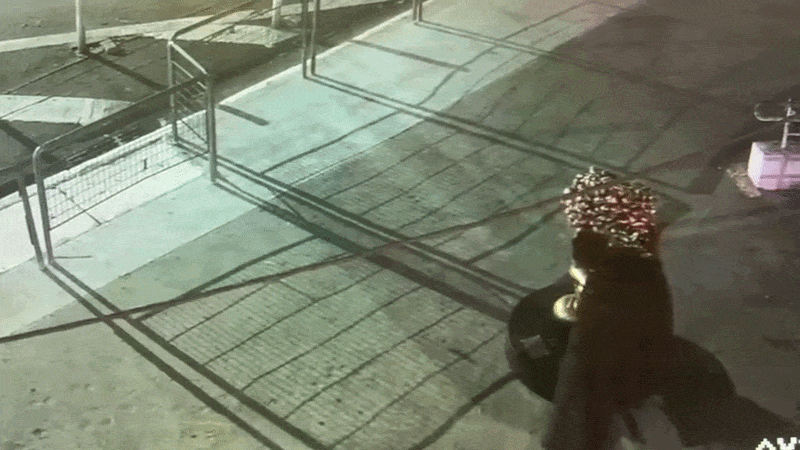 Cabeça de estátua da 'Turma da Mônica' cai após homem encostar na escultura em Perus; VÍDEO