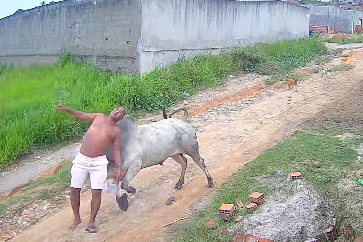 Homem é arremessado ao levar cabeçada de boi e fica ferido em Paudalho; VÍDEO