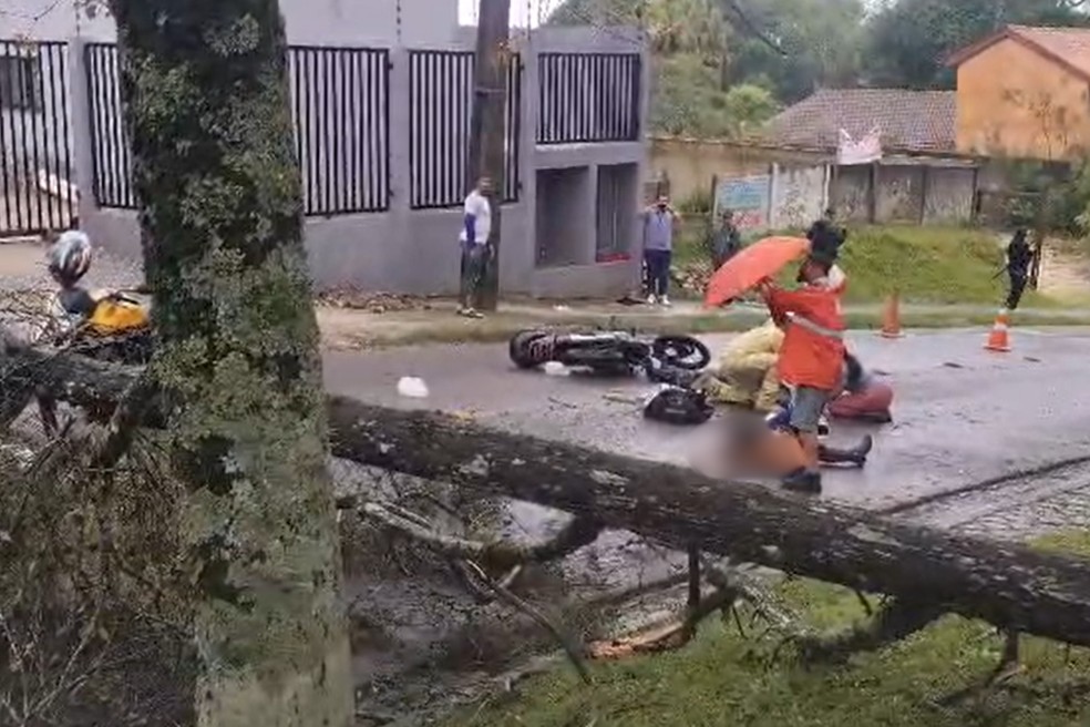 Queda de árvore deixa motociclista gravemente ferido em Curitiba — Foto: Corpo de Bombeiros