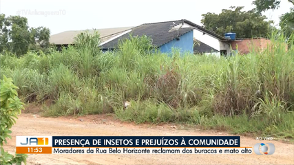 Moradores reclamam de mato alto e buracos em Palmas