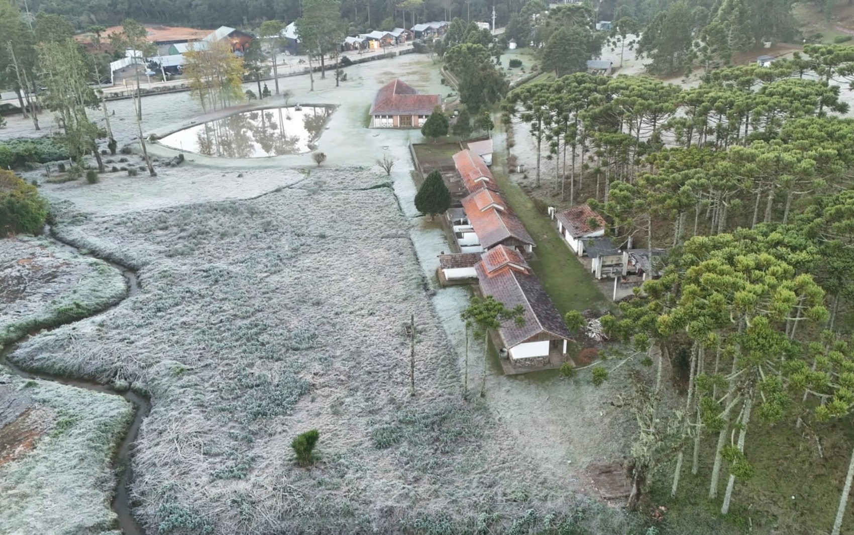 Monte Verde amanhece com média de 0,7°C e geada nesta quinta-feira