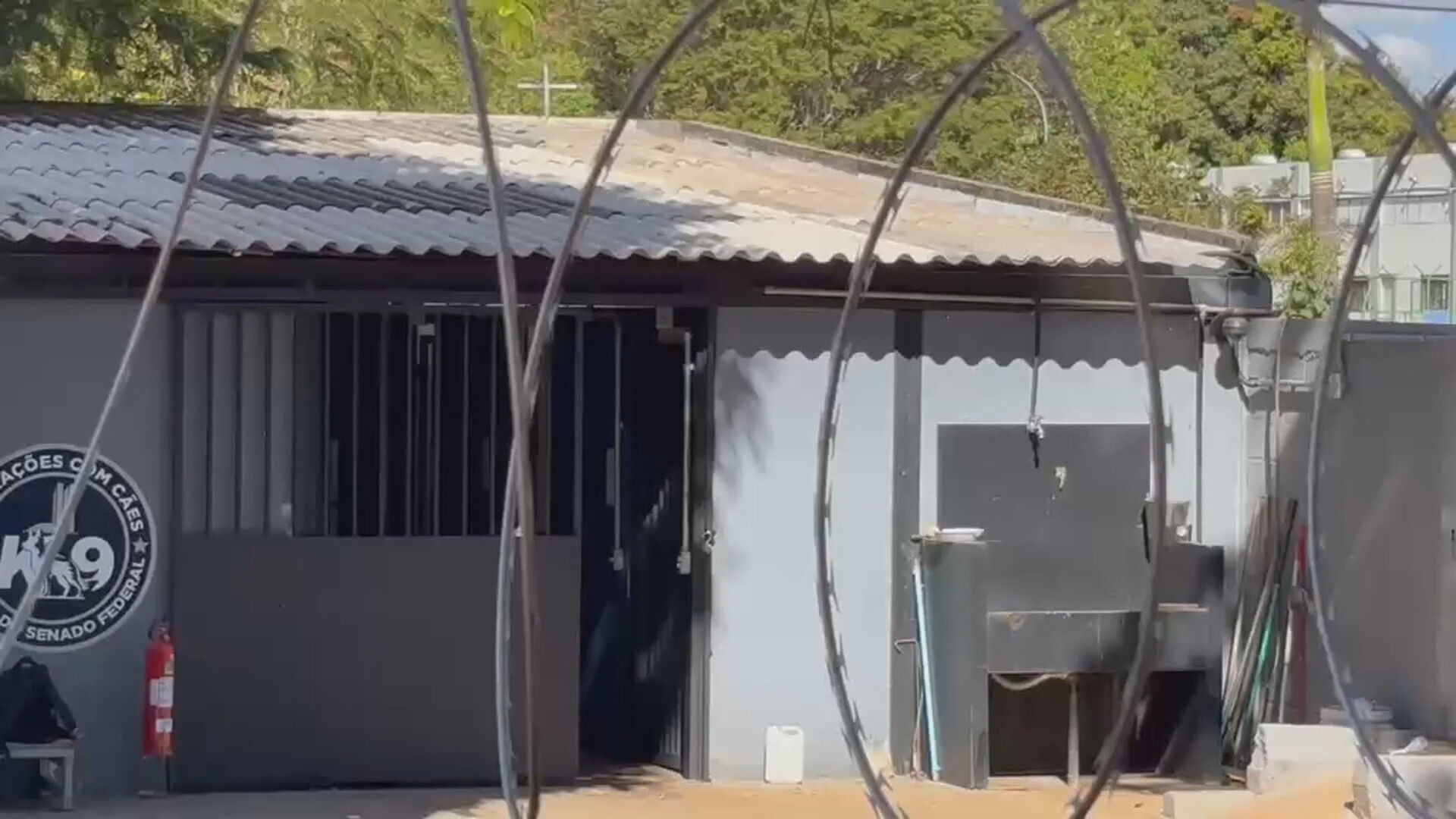 Veterinária atacada por pastor belga do Senado no centro de Brasília passa por cirurgia; estado é grave