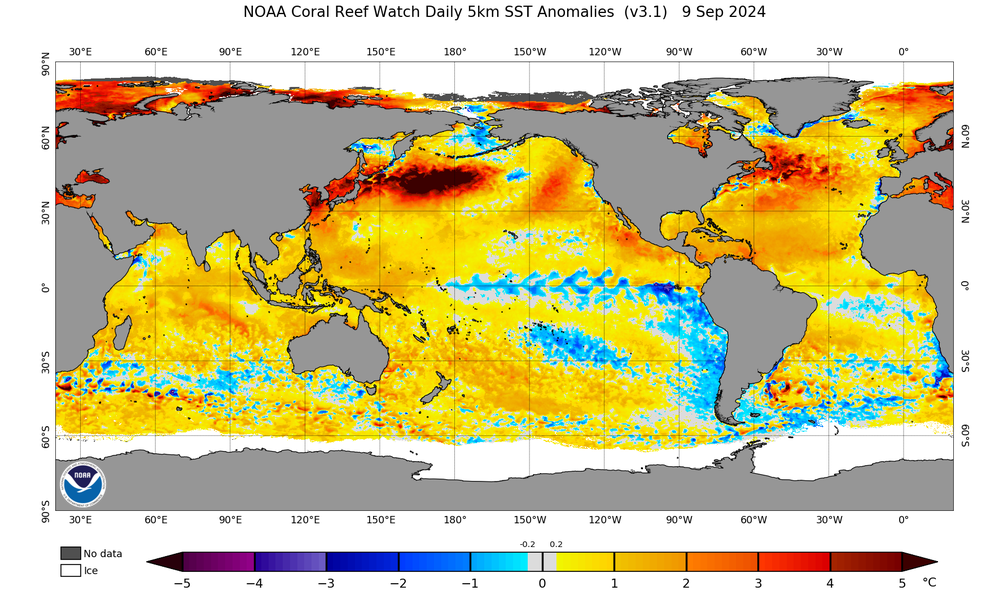 Anomalias da temperatura da superfície do mar em 9 de setembro. — Foto: NOAA