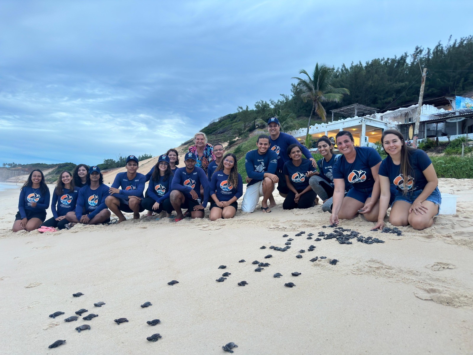 Projeto Tartarugas ao Mar abre inscrições para voluntários no RN