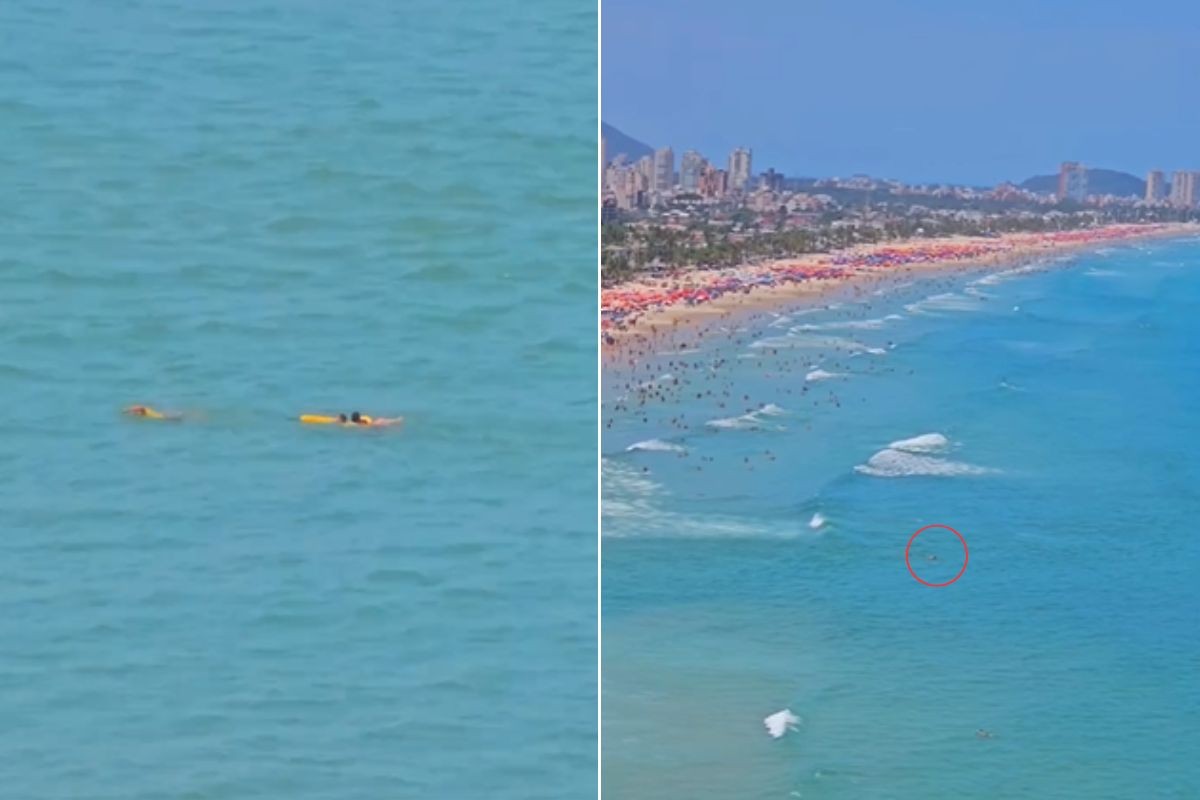 Guarda-vidas nadam contra corrente de retorno e salvam banhista no mar do litoral de SP; VÍDEO