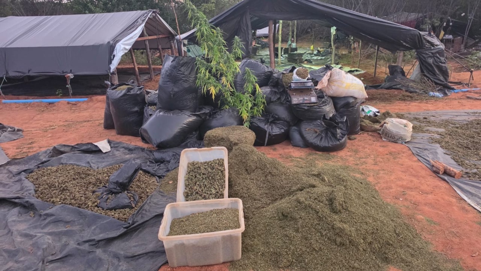 Família alega que o terreno estava arrendado para outra pessoa, com um contrato registrado em cartório.