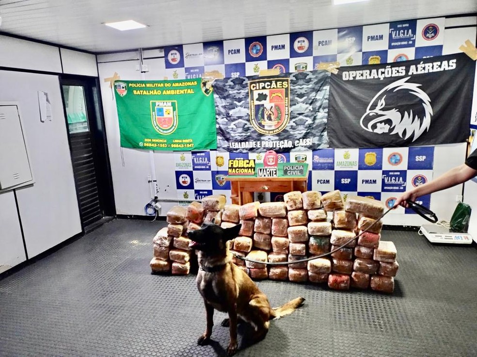 Mais de 260 quilos de drogas foram apreendidos em lancha rápida no interior do Amazonas. — Foto: Divulgação/SSP-AM