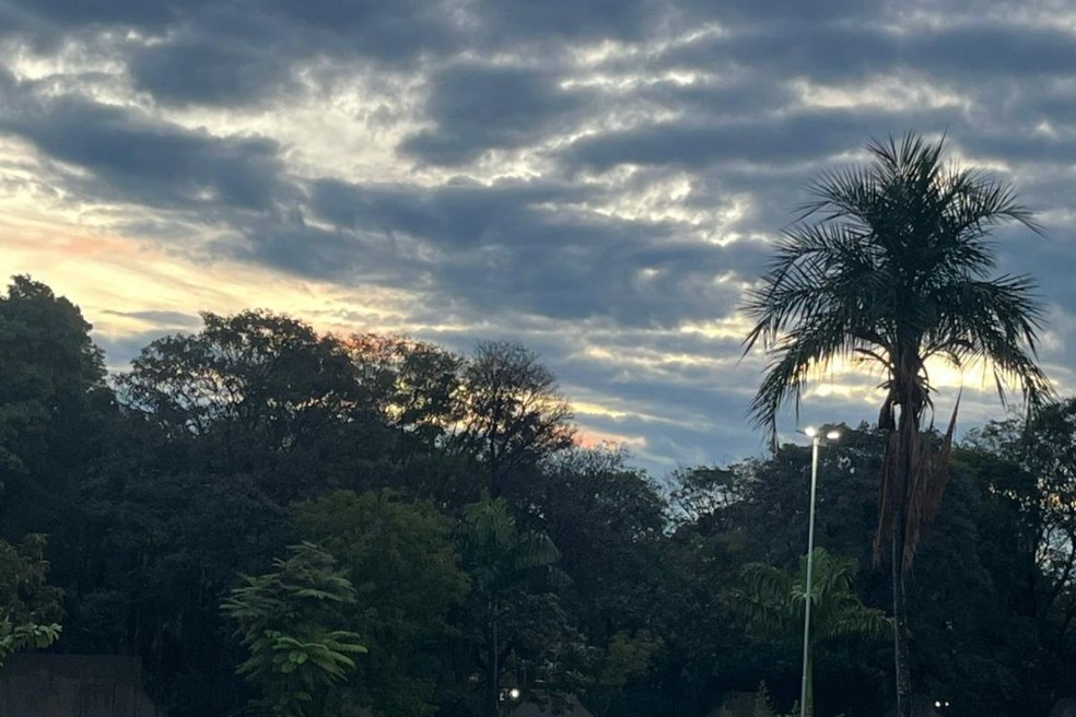 Veja previsão do tempo para Mato Grosso do Sul — Foto: Débora Ricalde