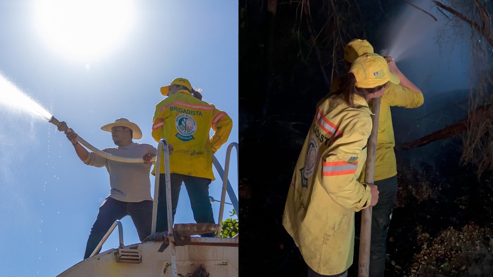 Piauí registra aumento das queimadas em 2025 — Foto: Reprodução