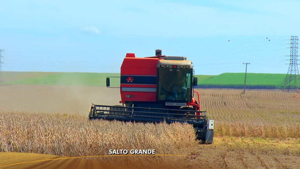 Produtores de SP colhem a safra da soja — Foto: Reprodução/TV TEM